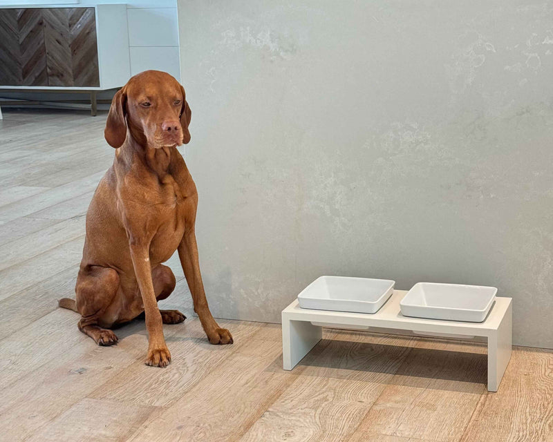 Bowsers Fresco Double Wood Dog Bowl Feeder – Elevated Designer Pet Dining