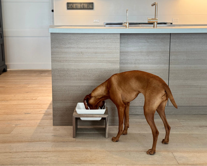 Bowsers Single Artisan Wood Dog Bowl Feeder - Elevated Designer Pet Dining