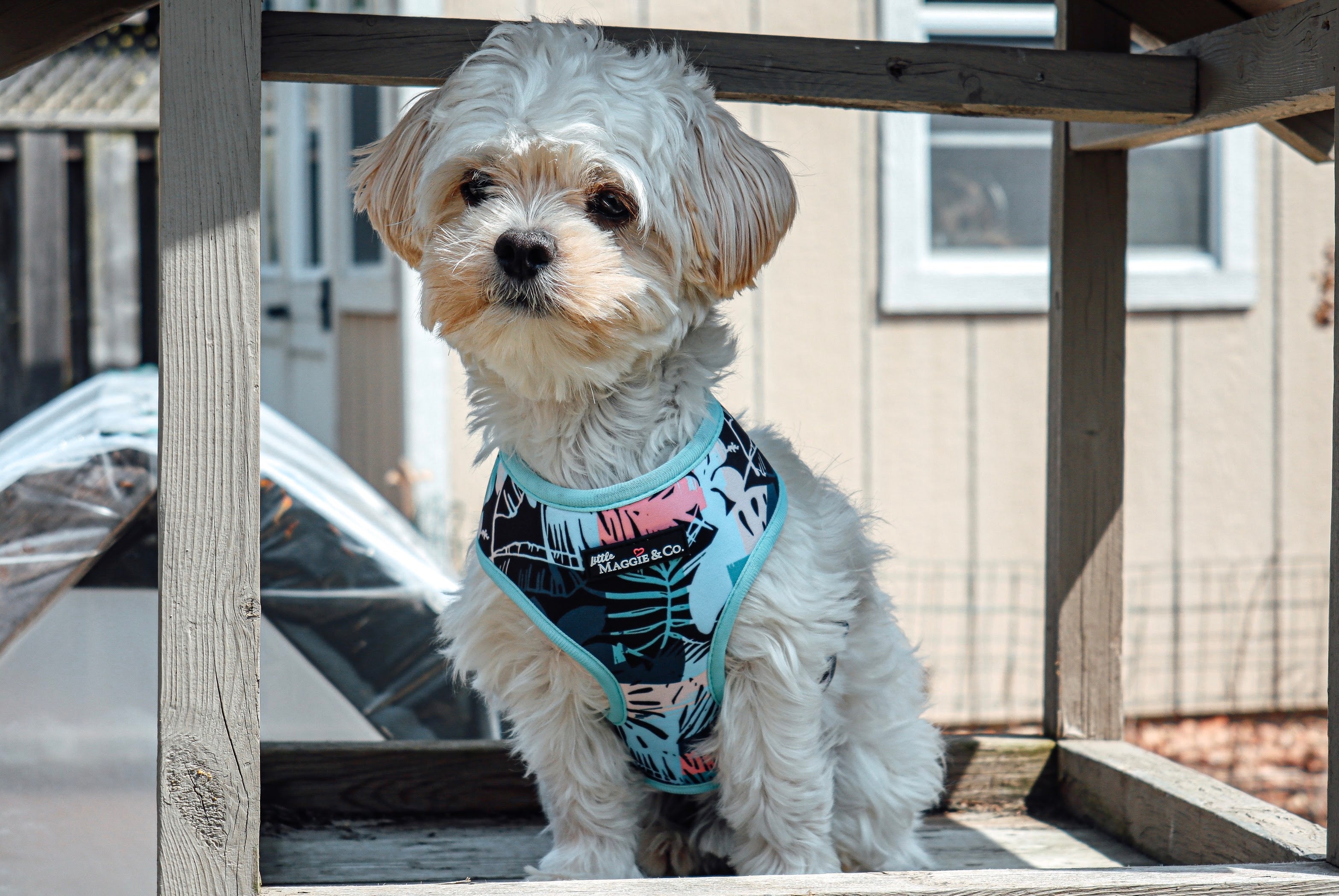 Keep Palm Reversible Harness