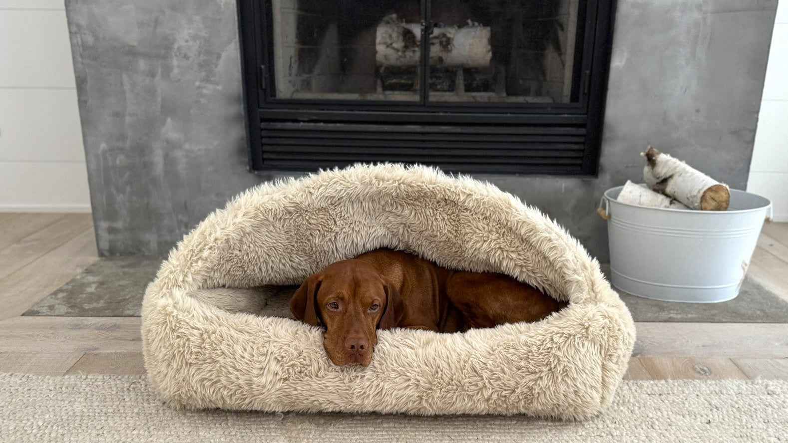 Bowsers Canopy Cozy Pet Bed - Soft Nesting Comfort for Small Spaces