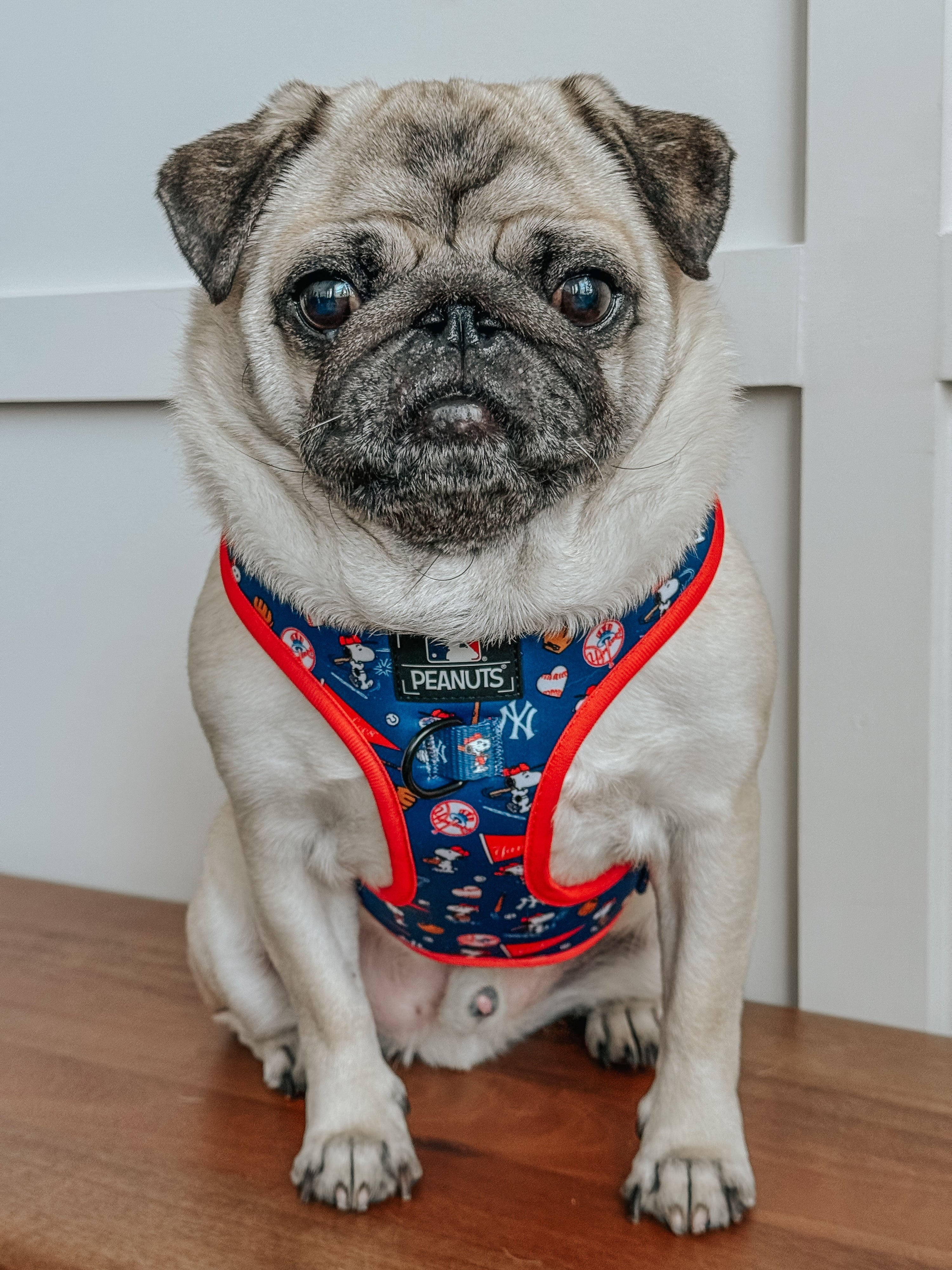 Dog Adjustable Harness - MLB™ x Peanuts™ New York Yankees™