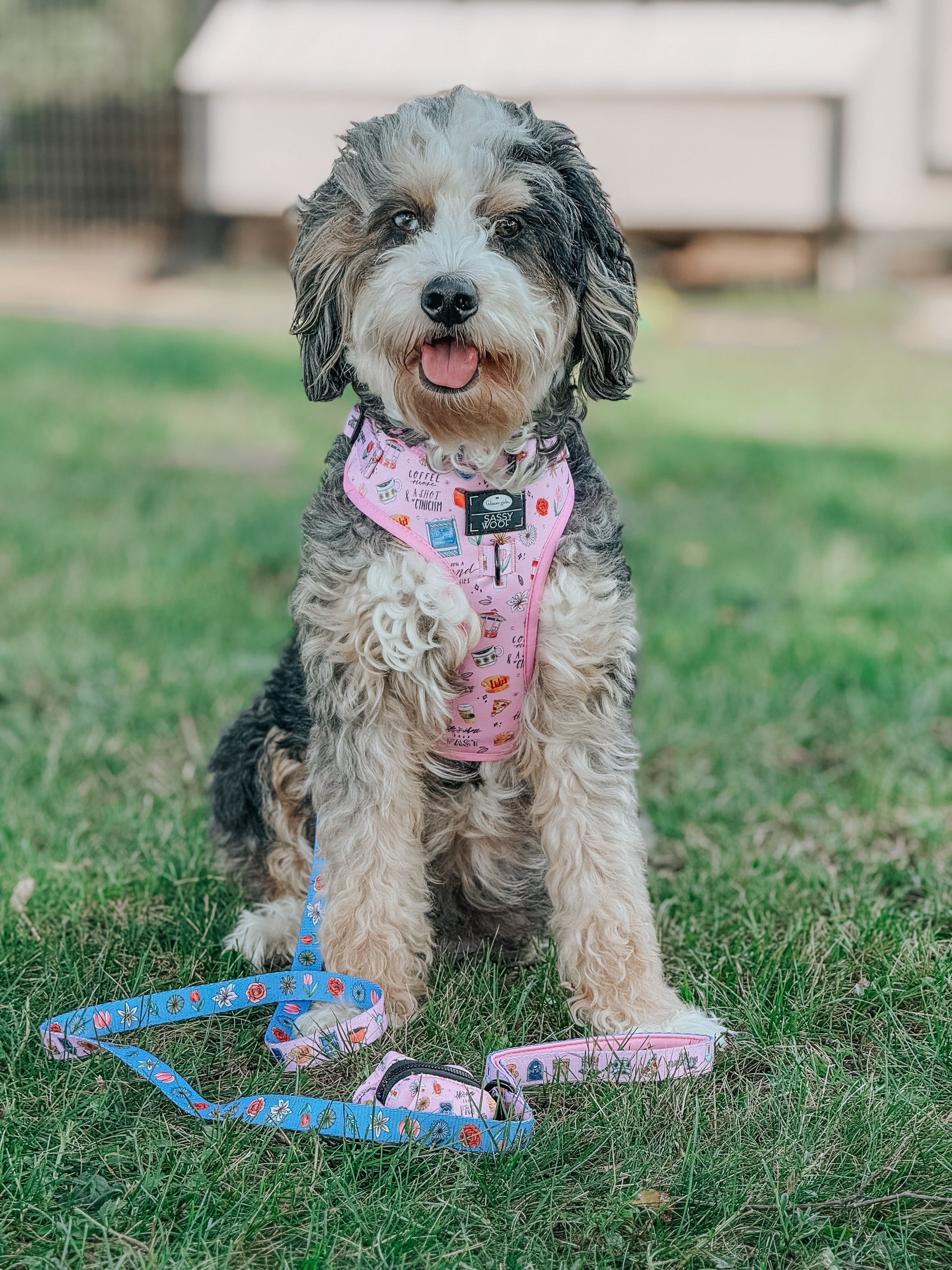 Dog Adjustable Harness - Gilmore Girls™
