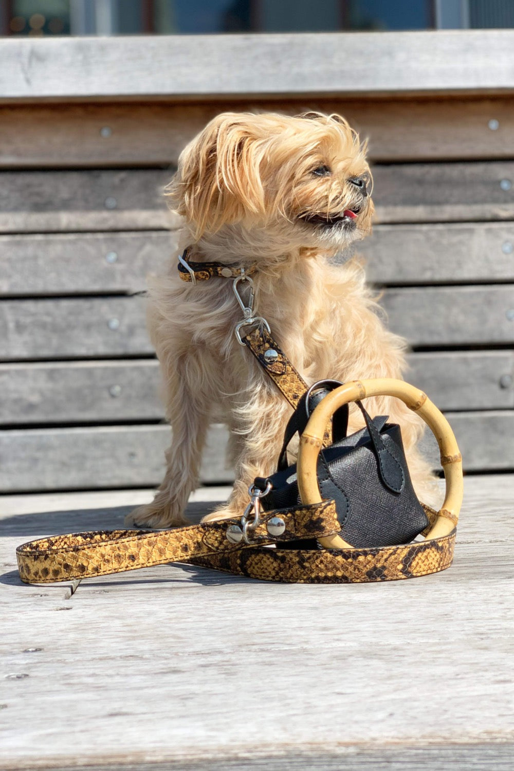Sasha Leash - Embossed Yellow & Black 