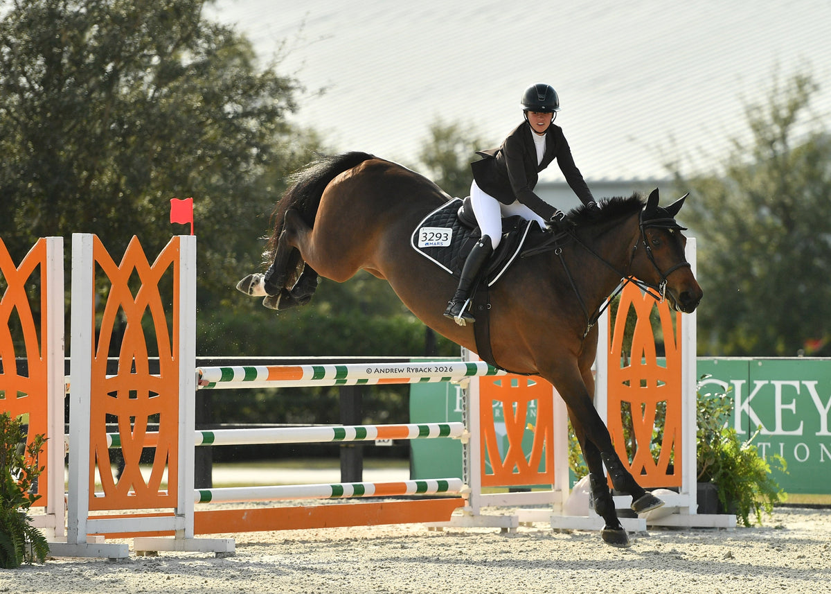 San Eligius black quilted jump saddle pad with white and black crocodile piping, quilted texture detail