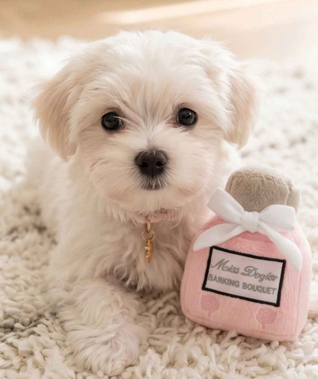 Haute Diggity Dog Miss Dogior Perfume Bottle Plush Dog Toy