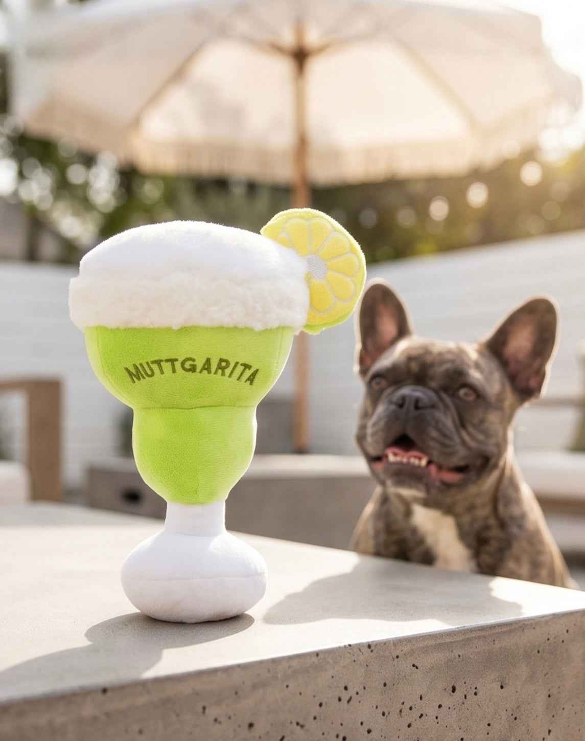 Haute Diggity Dog Muttgarita Plush Plush Dog Toy
