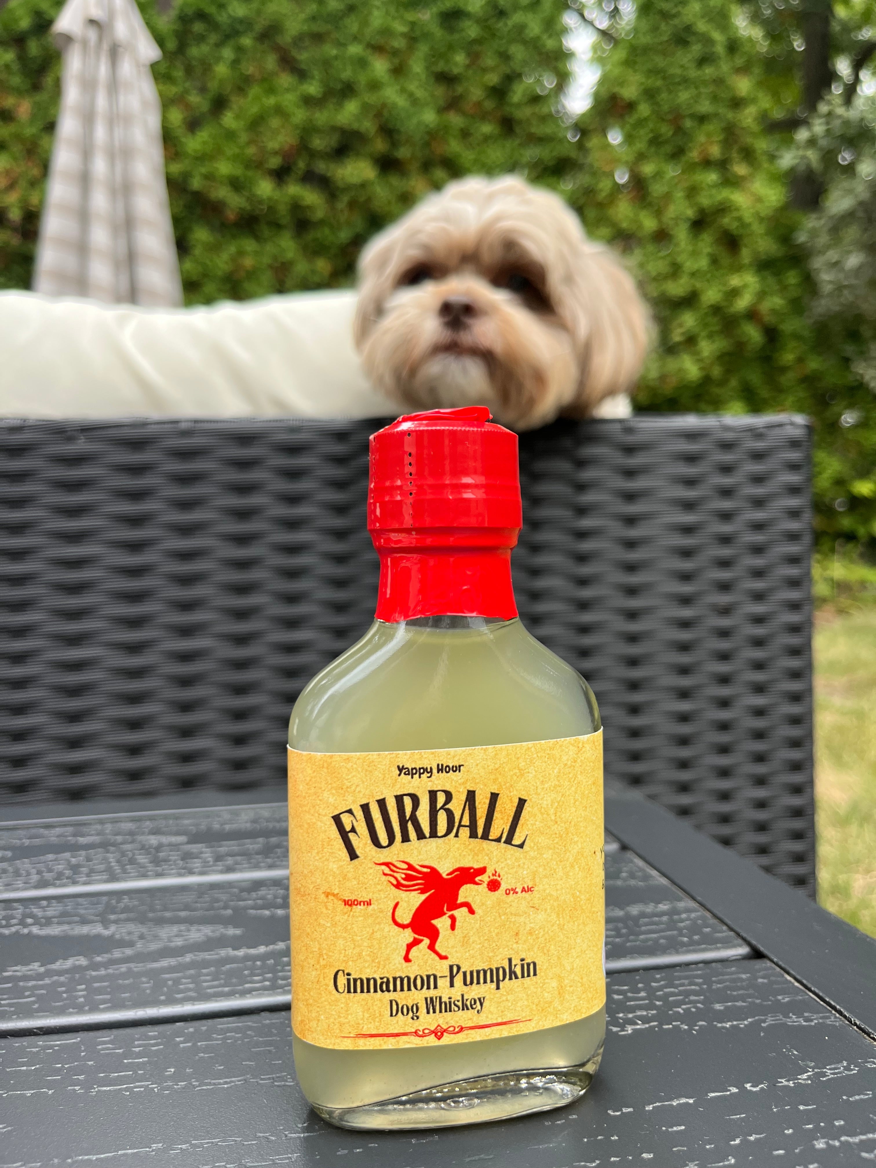 Furball Dog Whiskey Miniatures 4ct