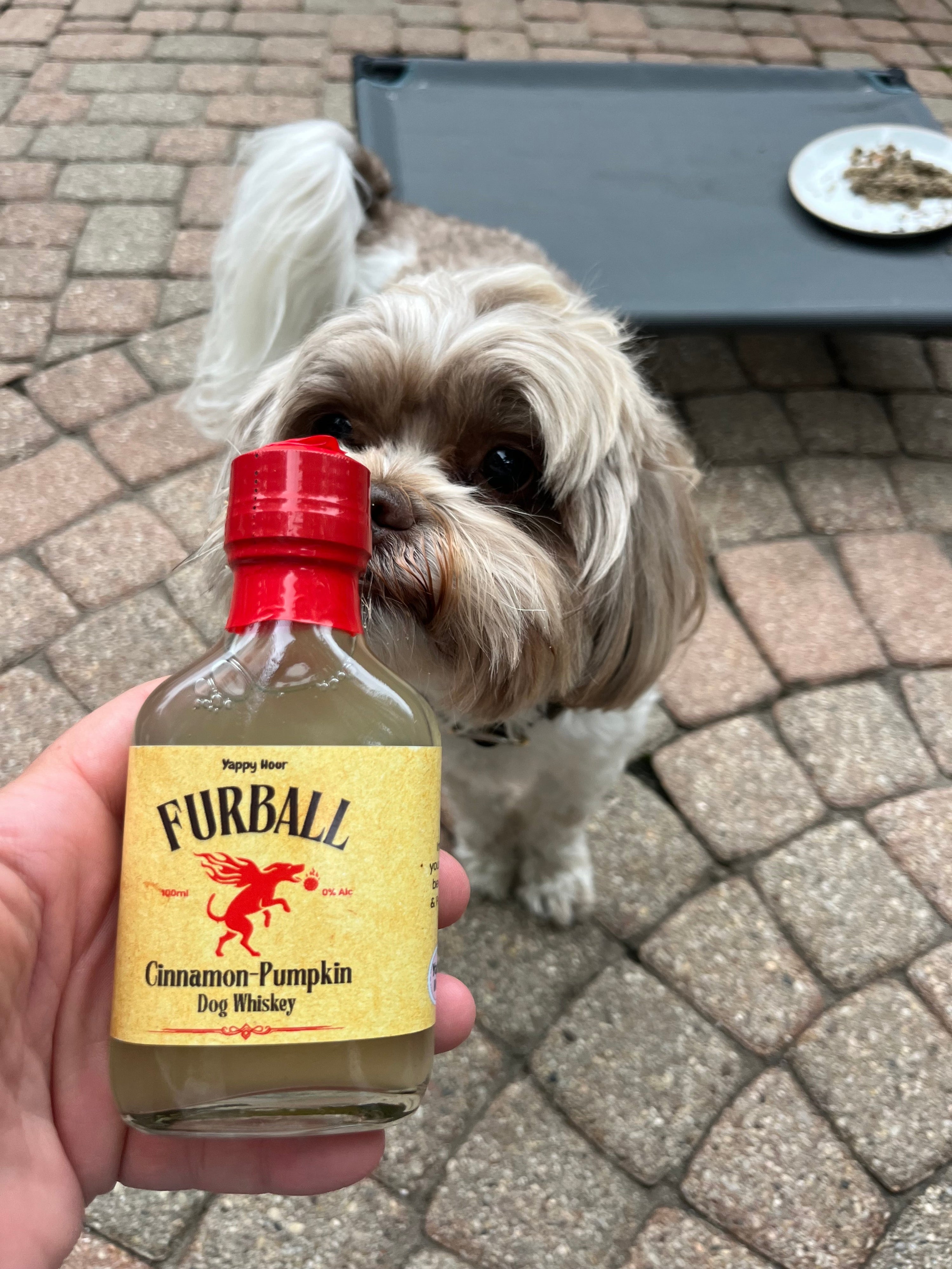 The Dog Liquor Bundle