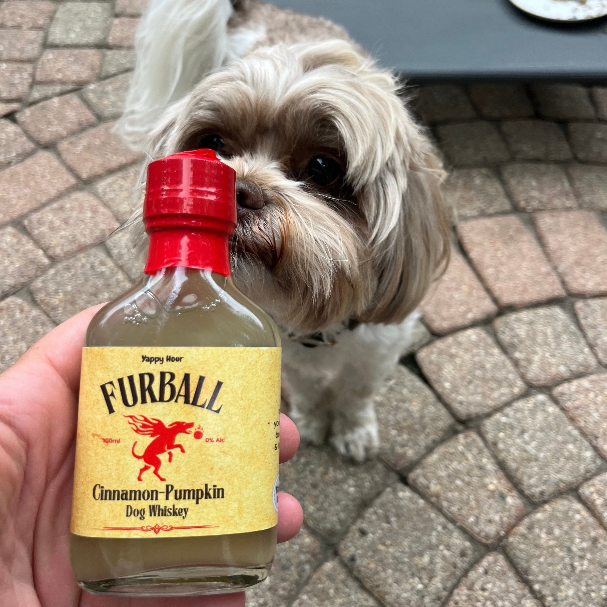 The Dog Liquor Bundle