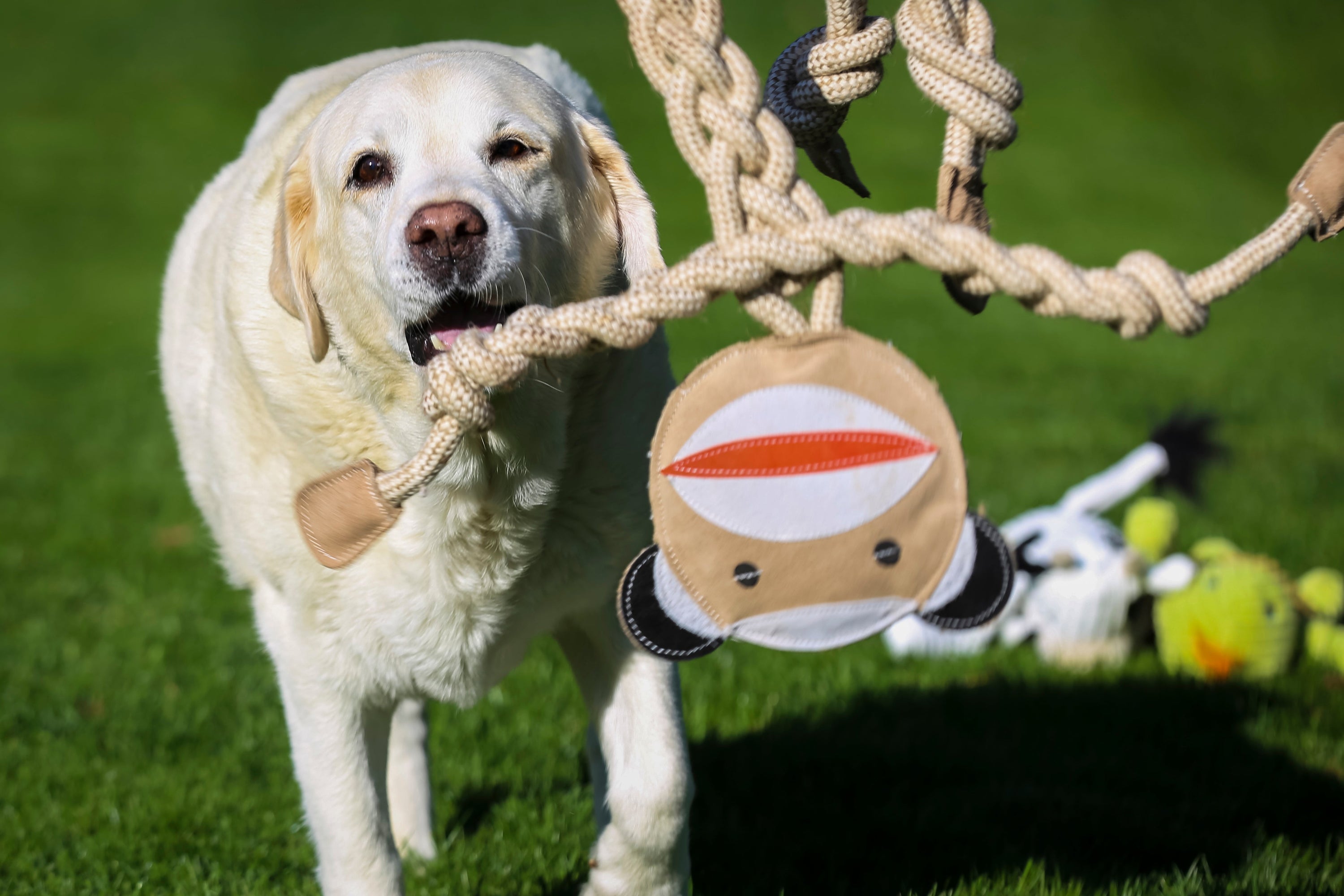 Stuey Sock Monkey Natural Rope Knottie Dog Toy, Large (9mm rope diameter)