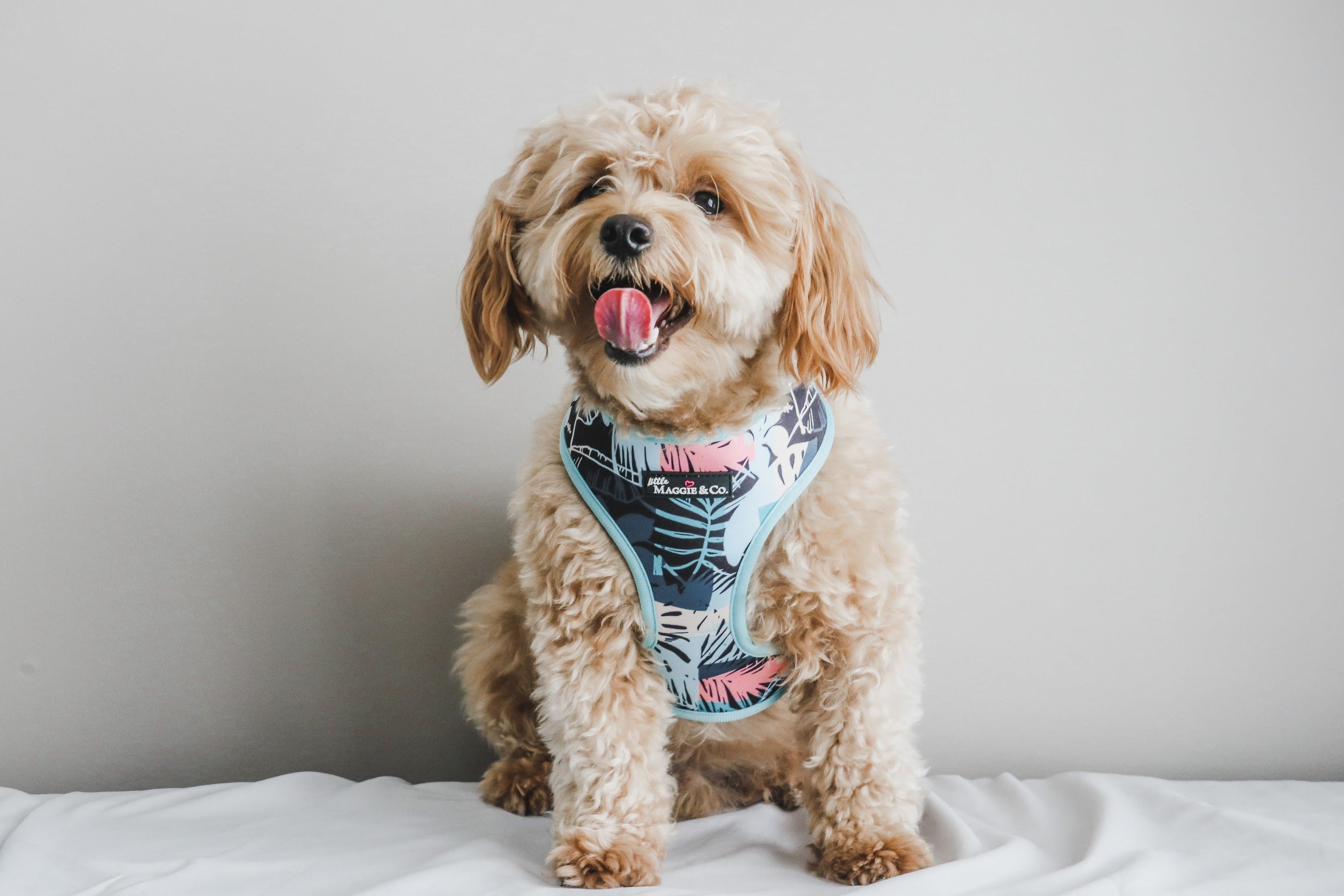 Keep Palm Reversible Harness