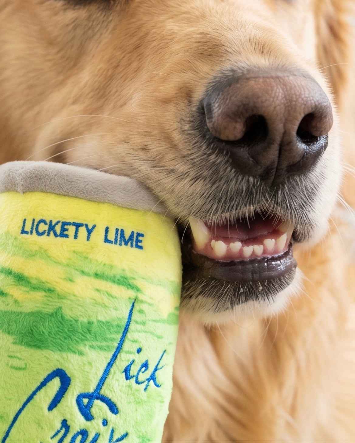 Haute Diggity Dog LickCroix Barkling Water Lickety Lime Plush Dog Toy