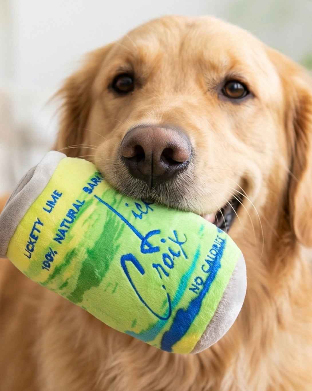Haute Diggity Dog LickCroix Barkling Water Lickety Lime Plush Dog Toy