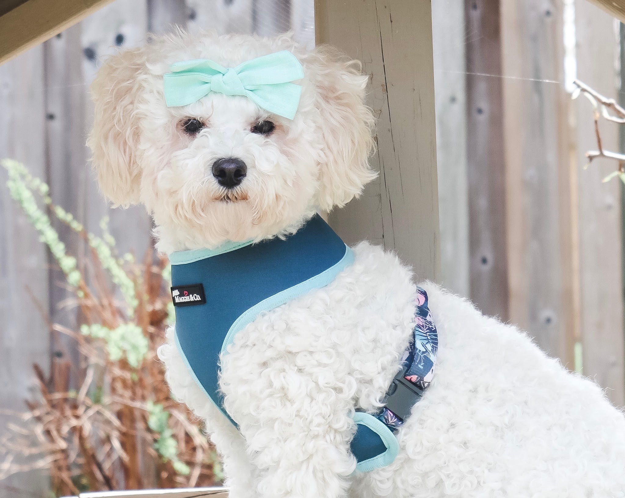 Keep Palm Reversible Harness