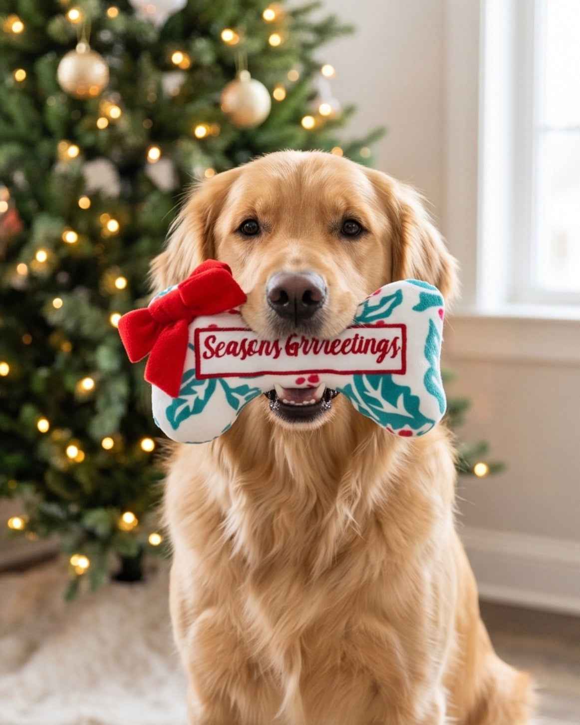Haute Diggity Dog Holly Print Bone - Seasons Grrreetings Christmas Plush Dog Toy Holiday Christmas Plush Dog Toy