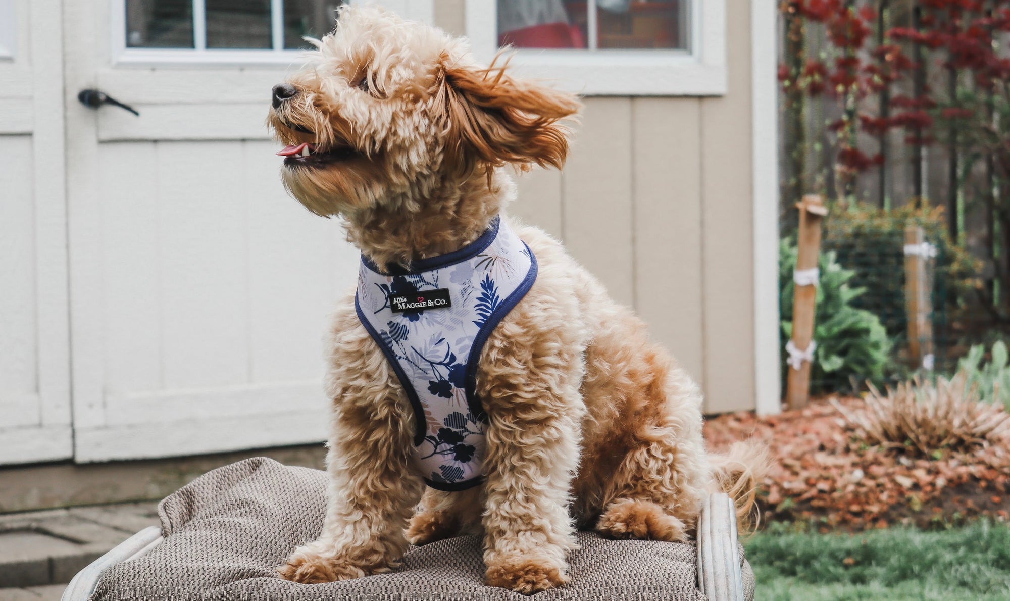 Breezy Reversible Harness