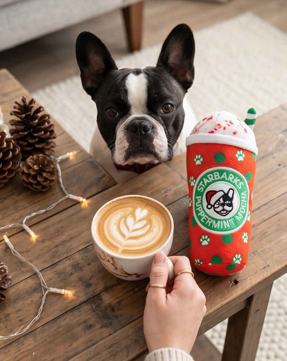 Haute Diggity Dog Starbarks Puppermint Mocha - Christmas Holiday Dots Cup Christmas Plush Dog Toy