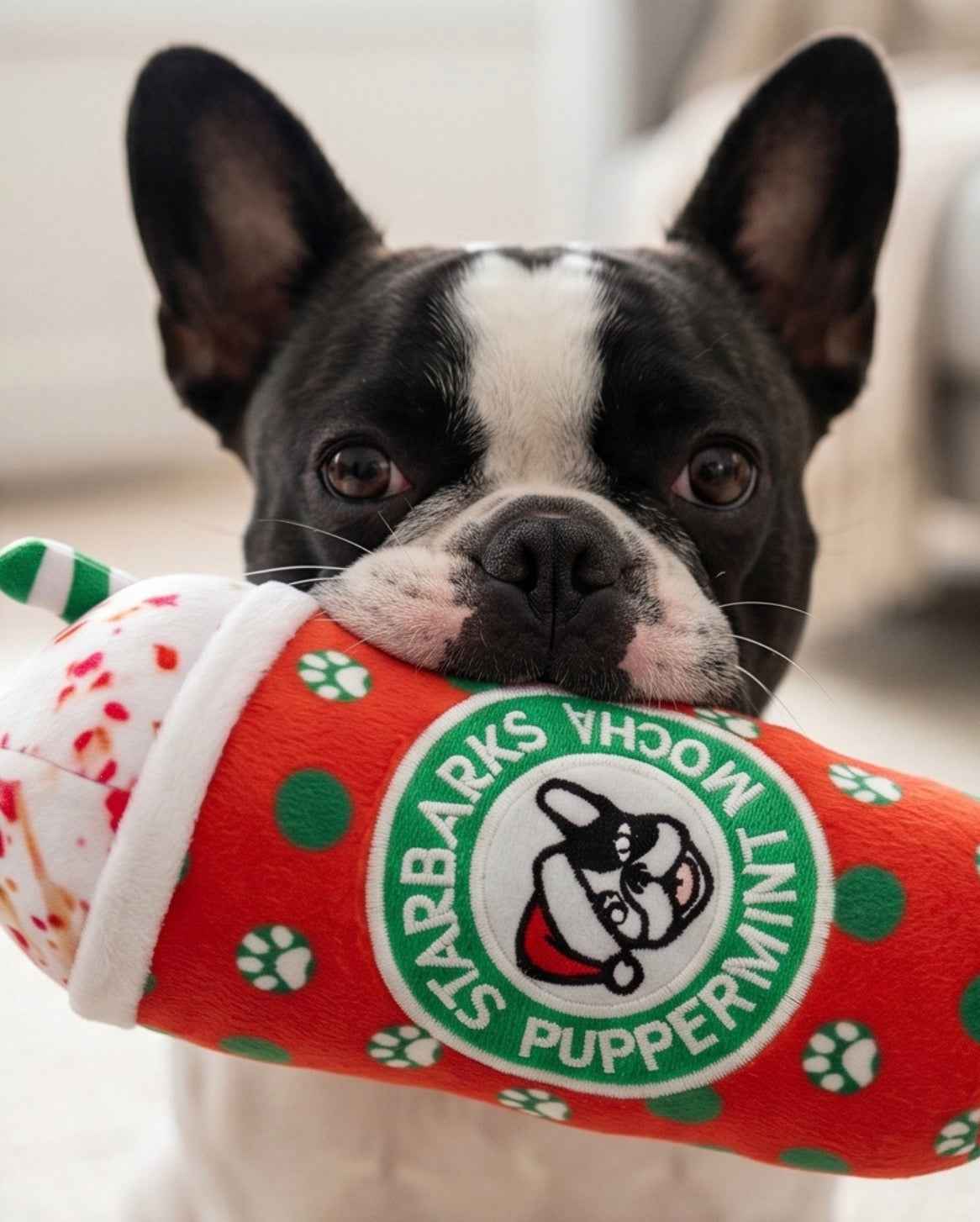 Haute Diggity Dog Starbarks Puppermint Mocha - Christmas Holiday Dots Cup Christmas Plush Dog Toy