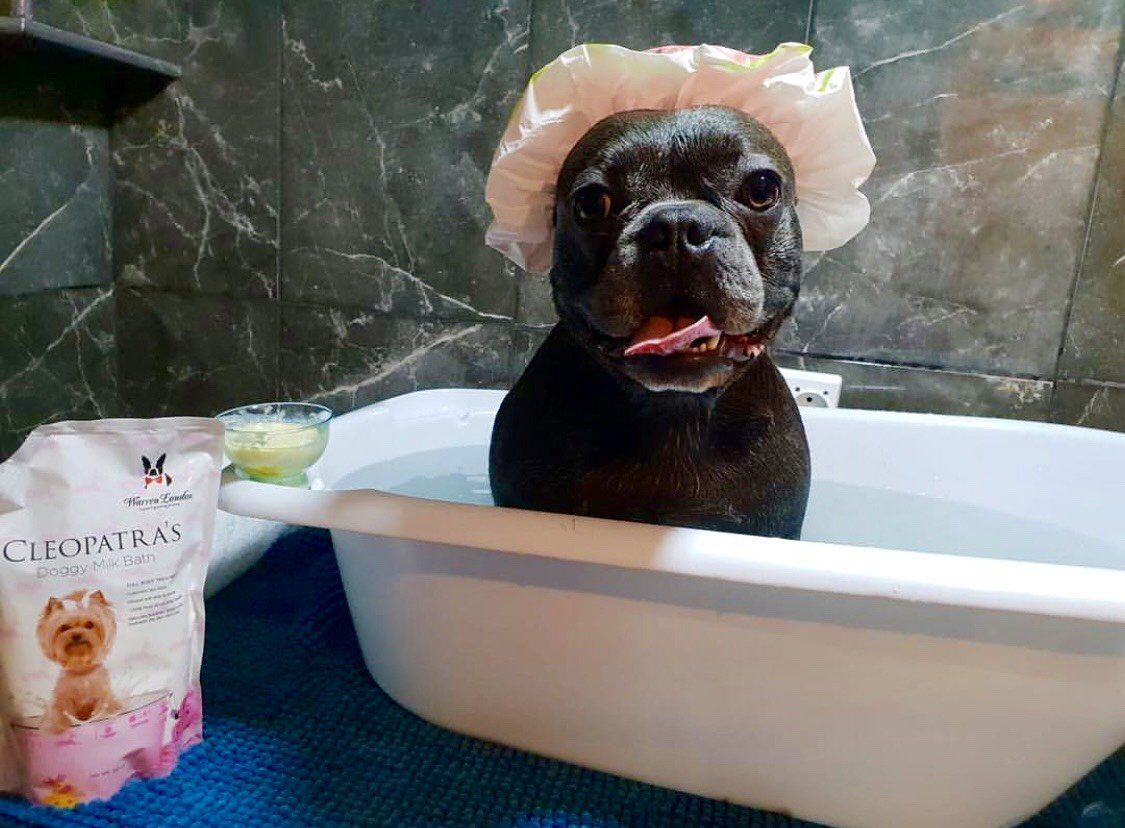 Cleopatras Doggy Milk Bath