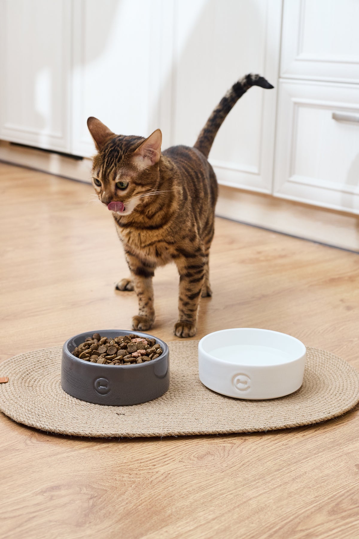 Sphere Ceramic Pet Bowl
