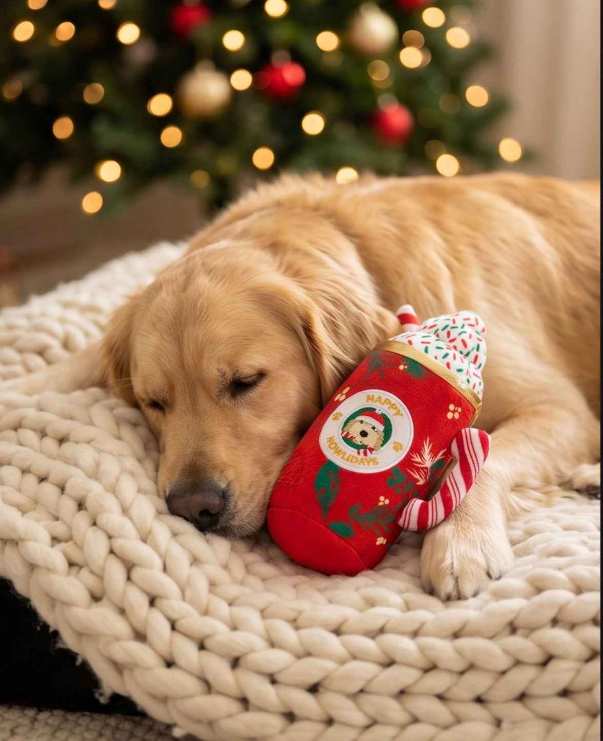 Haute Diggity Dog Howliday Cheer Mug Holiday Christmas Plush Dog Toy