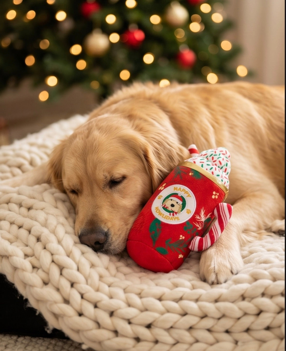 Haute Diggity Dog Howliday Cheer Mug Holiday Christmas Plush Dog Toy