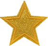 Gold Glitter Star Patch