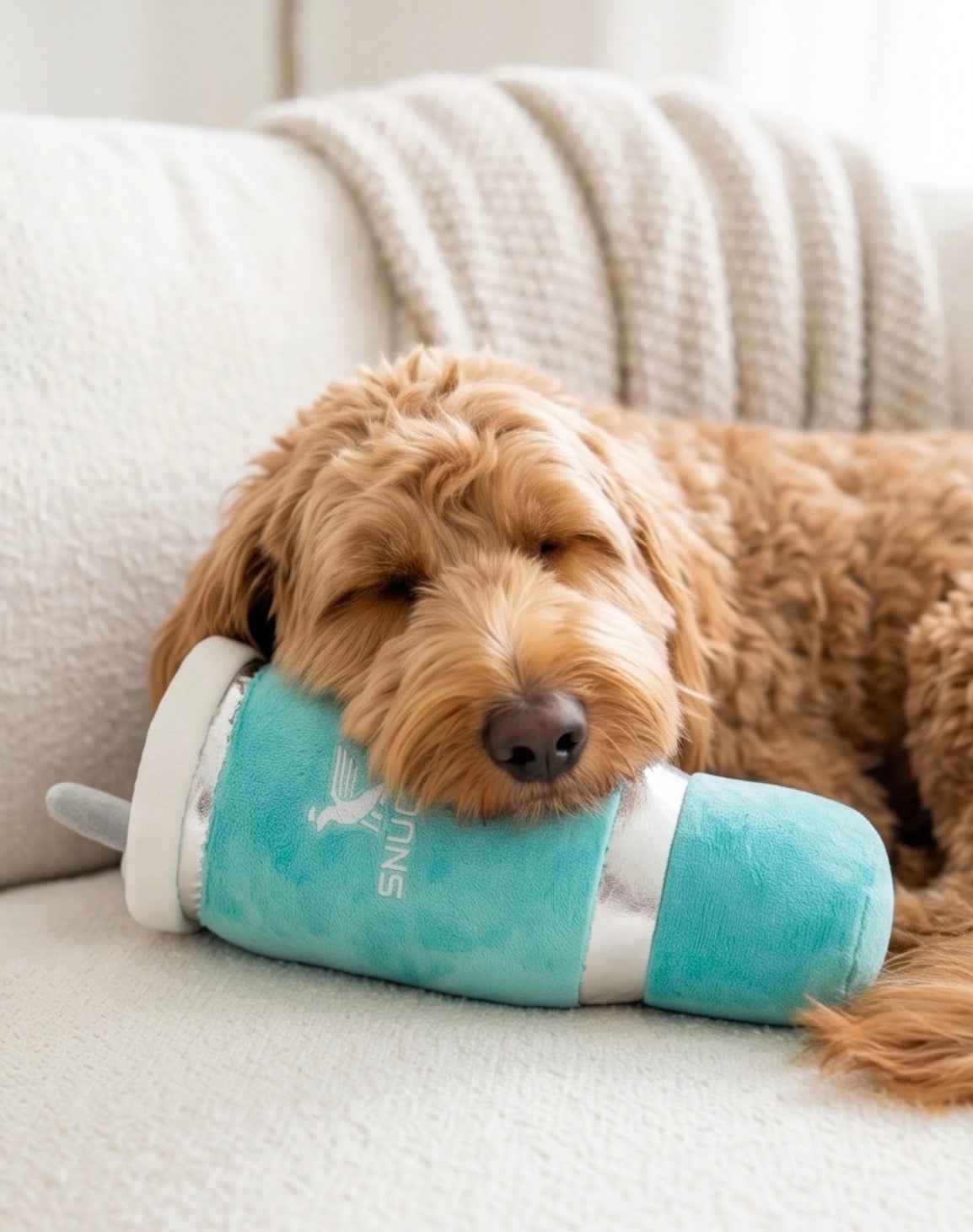 Haute Diggity Dog Snuggly Cup - Teal Plush Dog Toy