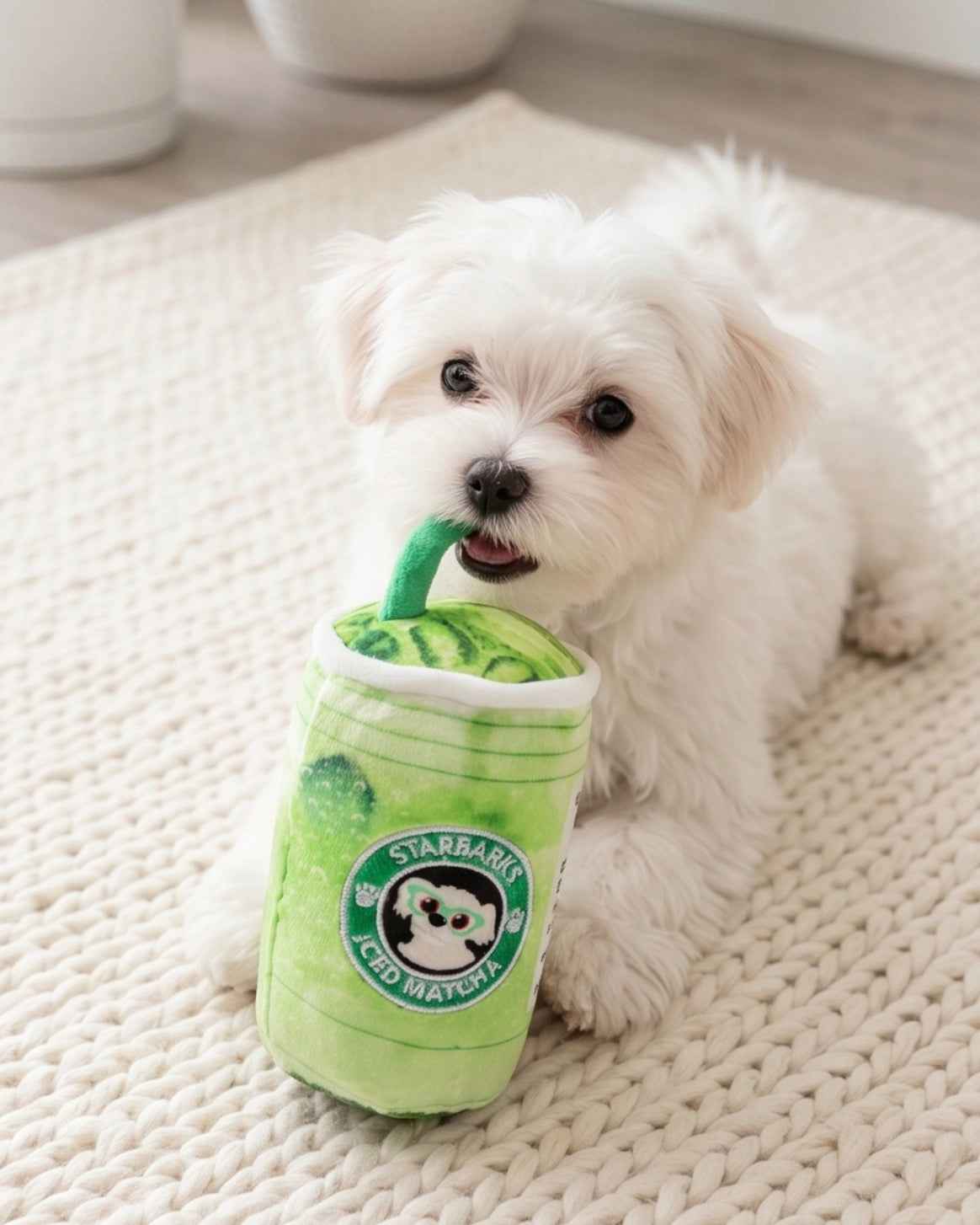 Haute Diggity Dog Starbarks Iced Matcha Plush Dog Toy