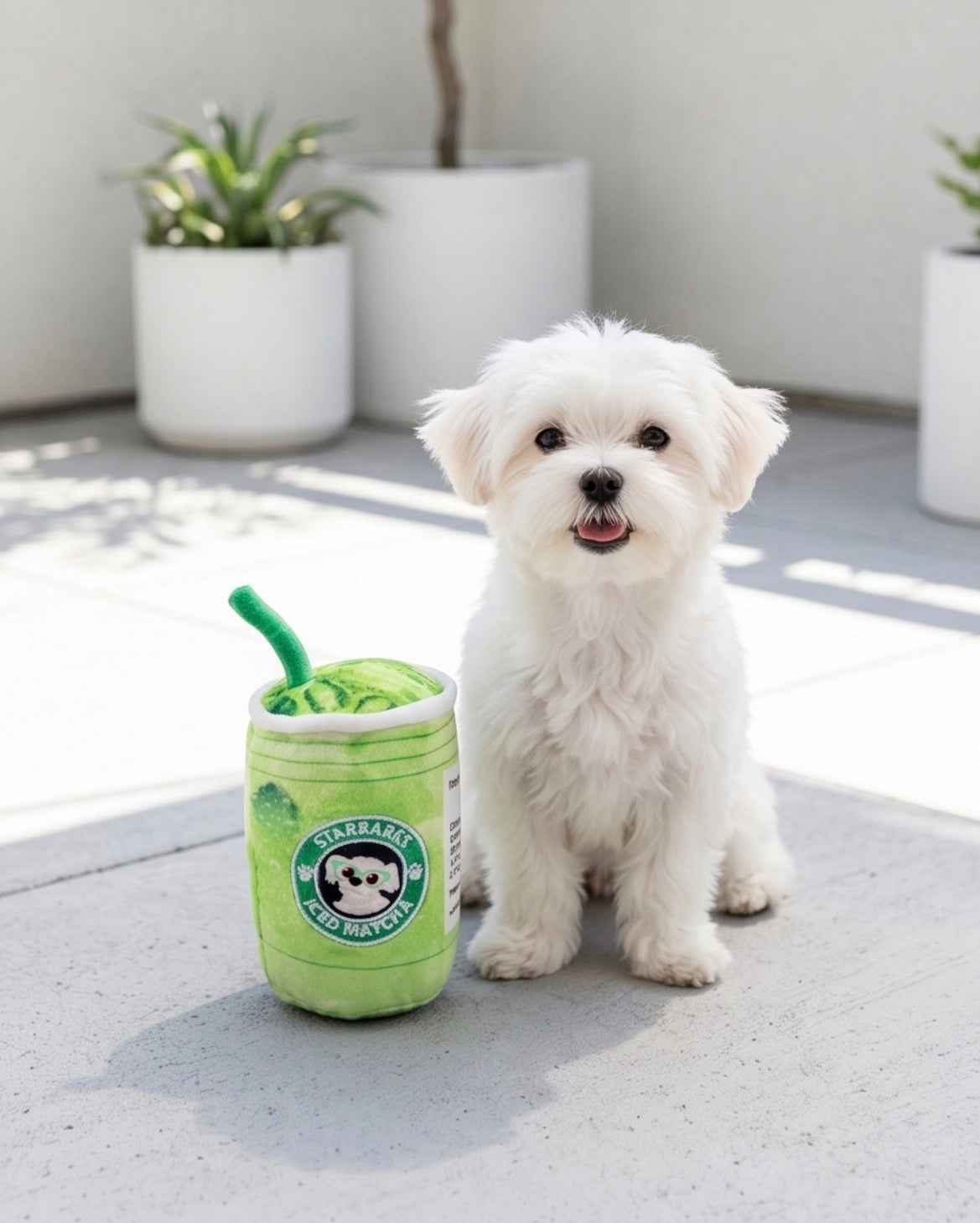 Haute Diggity Dog Starbarks Iced Matcha Plush Dog Toy