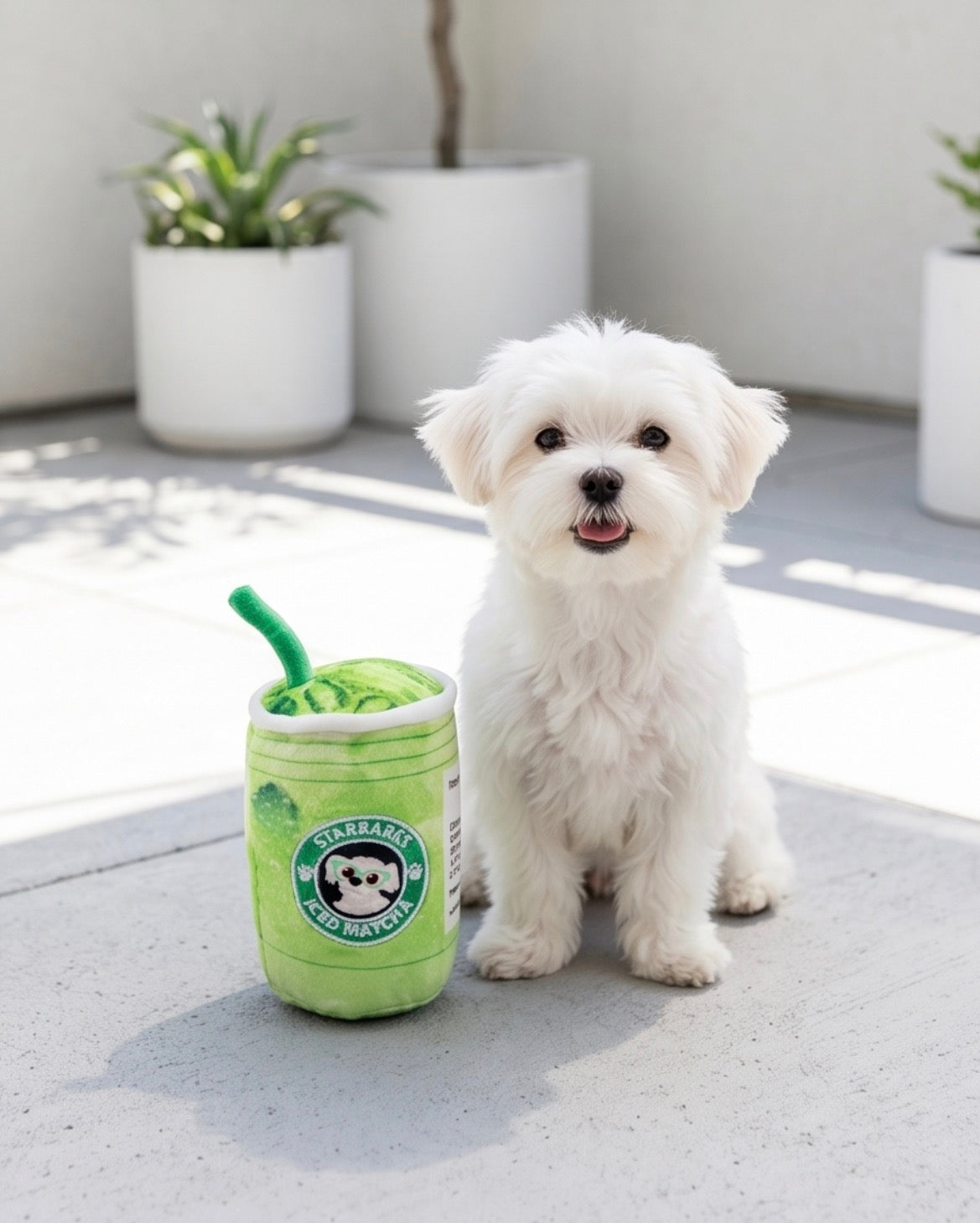 Haute Diggity Dog Starbarks Iced Matcha Plush Dog Toy