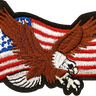 USA Eagle Patch