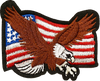 USA Eagle Patch