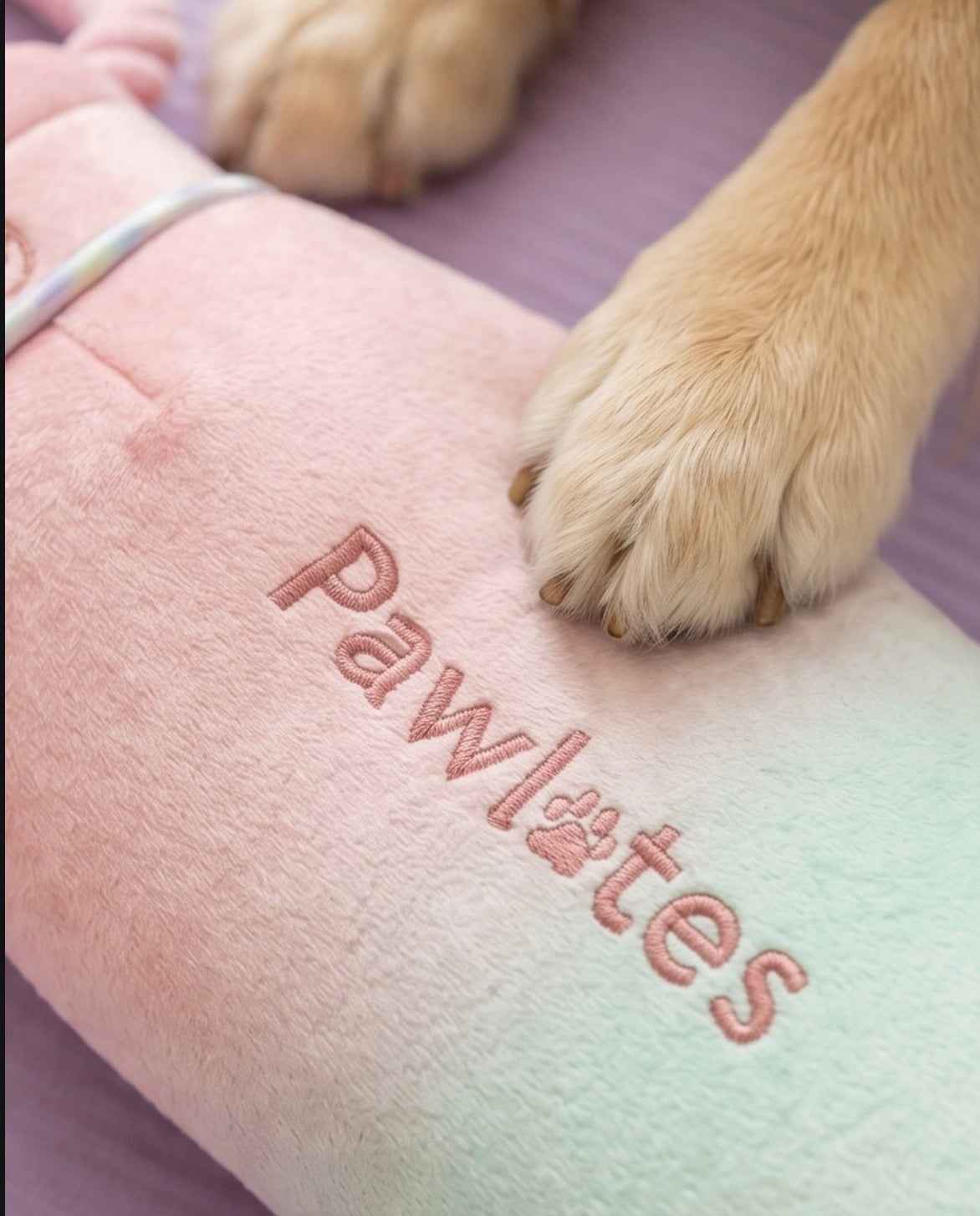 Haute Diggity Dog Pawlates Princess Water Bottle Plush Dog Toy