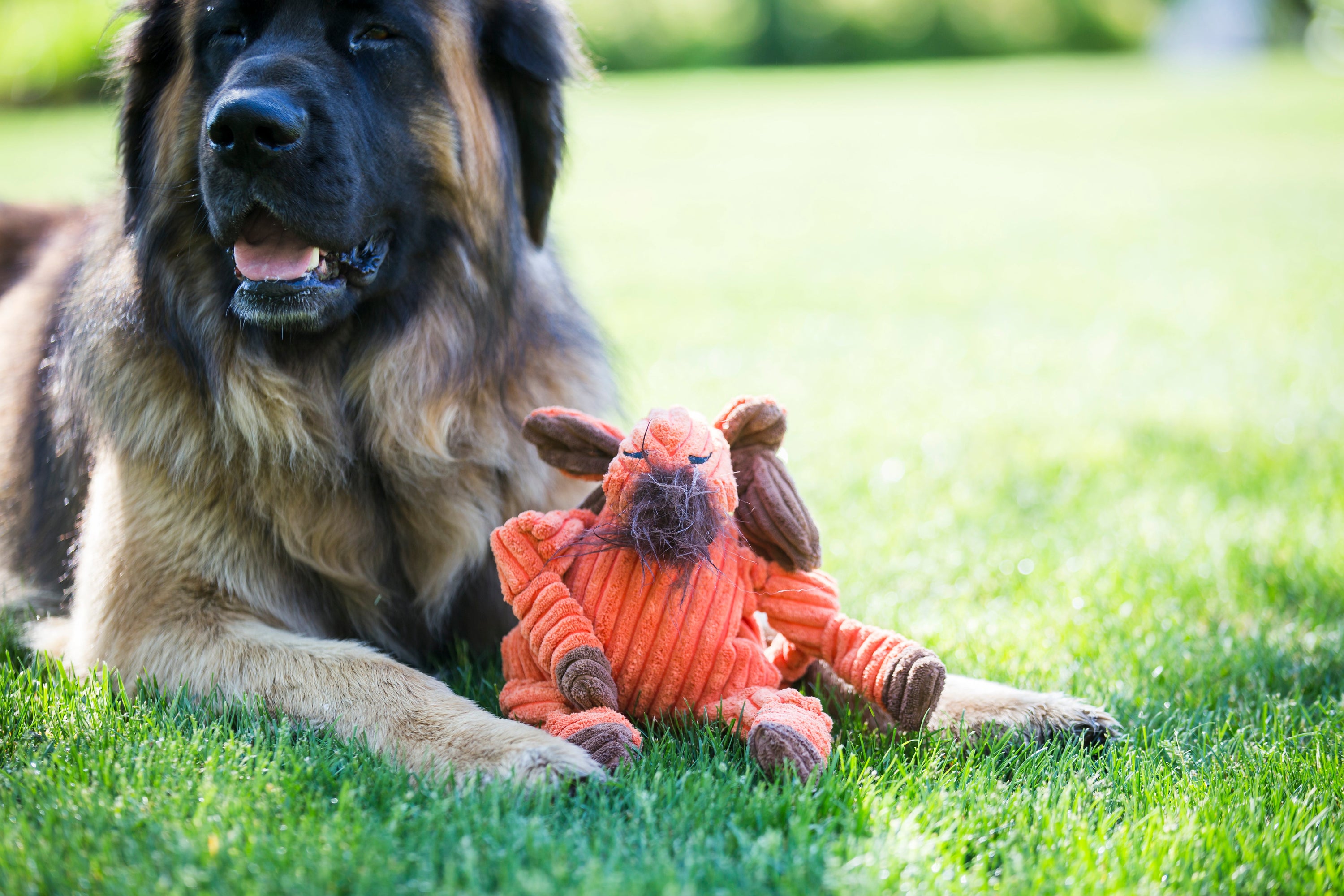 Morris Moose Knottie Plush Dog Toy