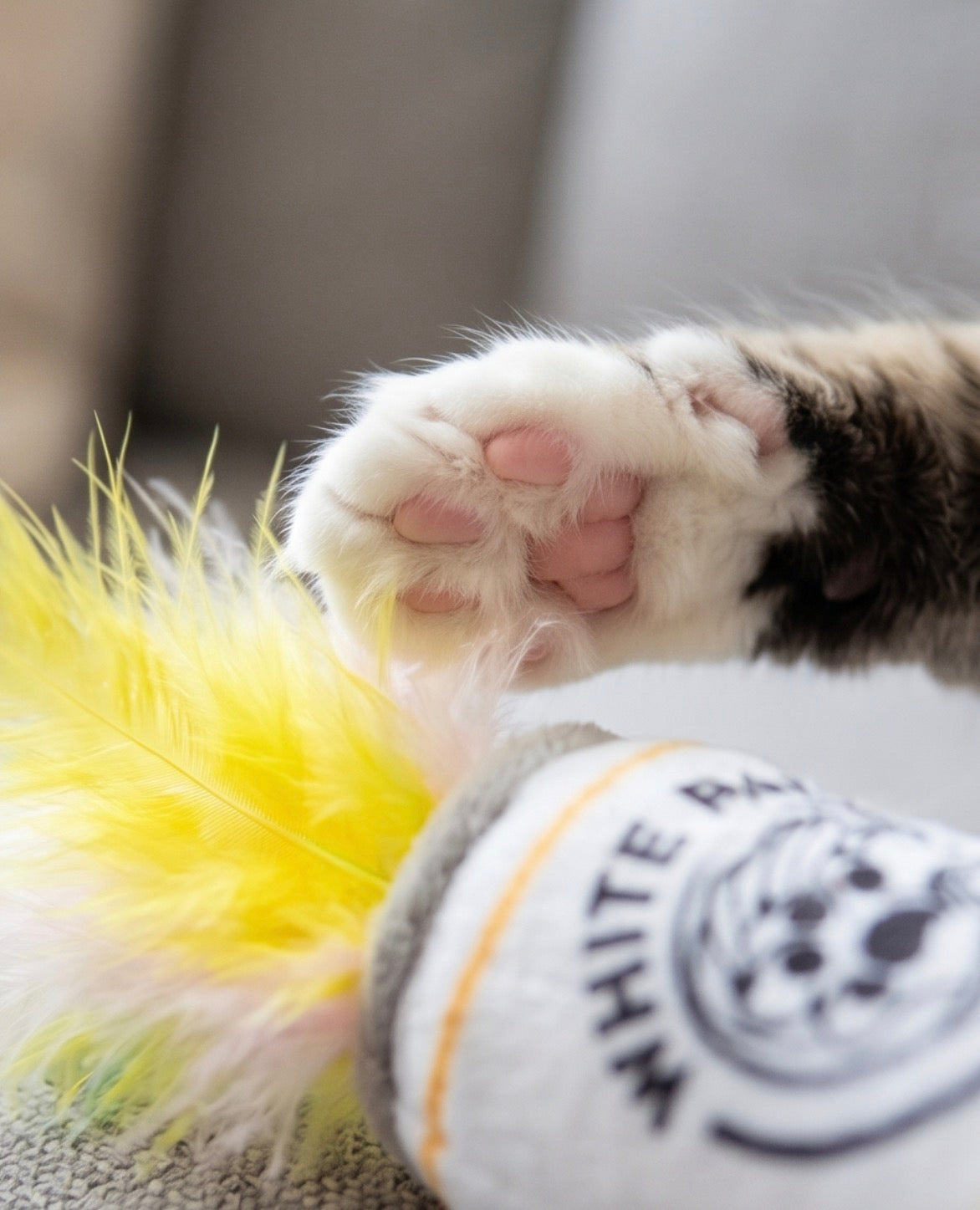 Haute Diggity Dog White Paw (Mango & Lime) Organic Catnip Cat Organic Catnip Toy