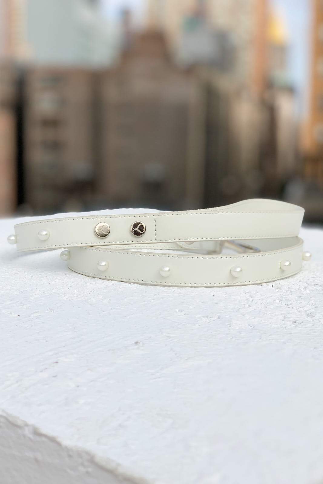 Essi Leash | HT Animal Supply