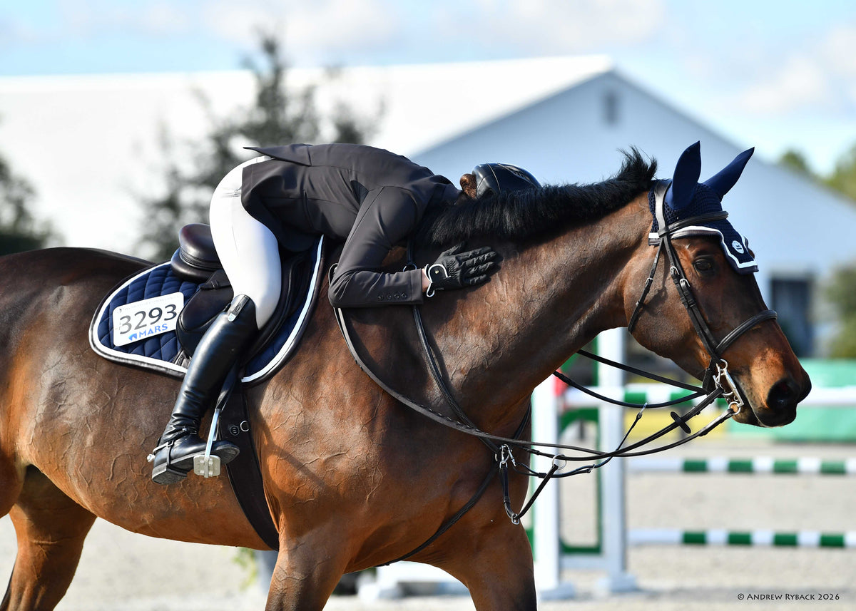 San Eligius navy quilted jump saddle pad with white and brown leather piping, angled view on horse