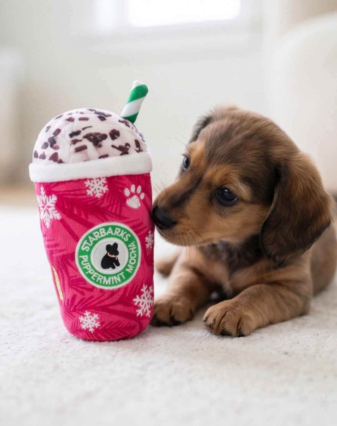 Haute Diggity Dog Starbarks Puppermint Mocha Christmas Plush Dog Toy