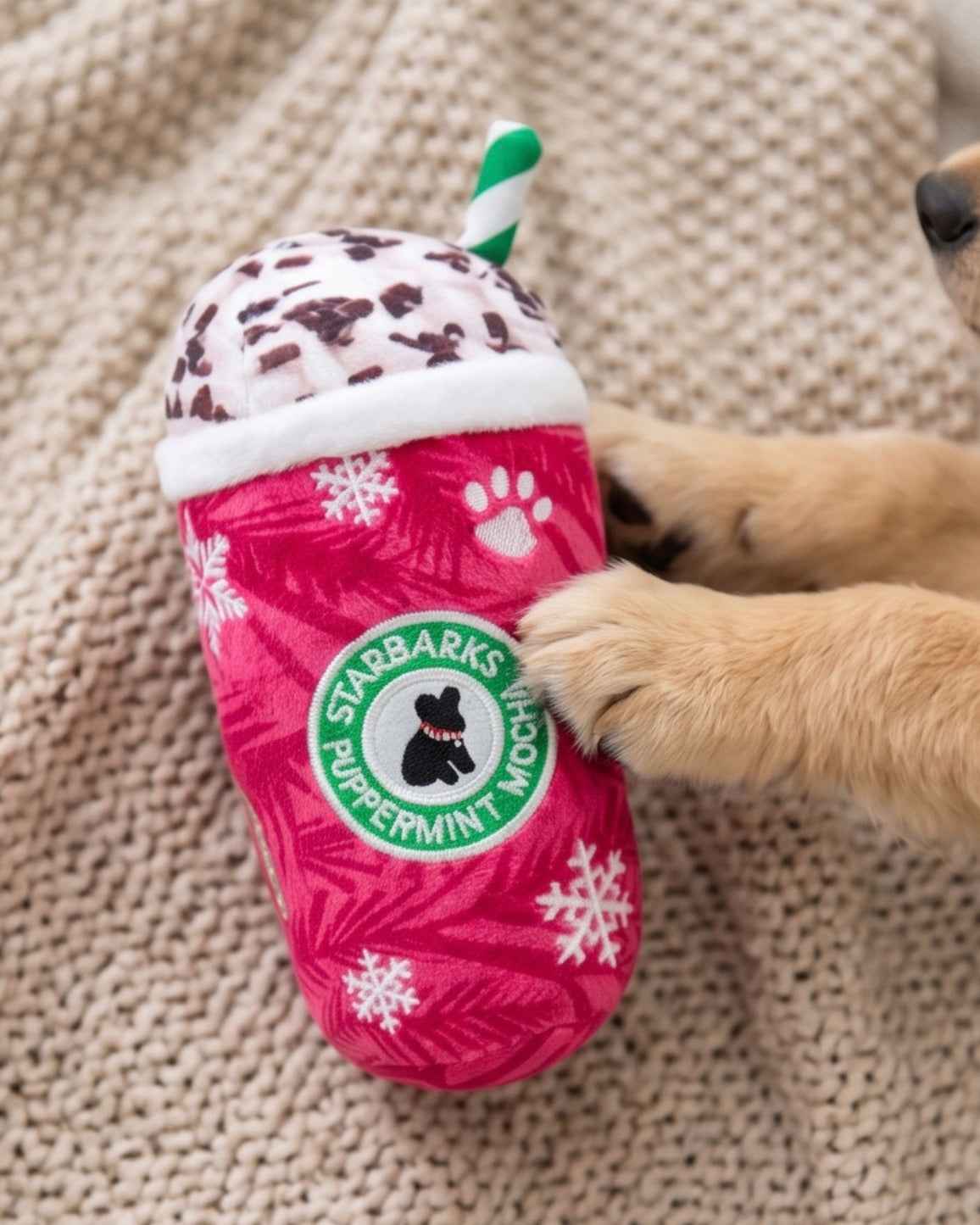 Haute Diggity Dog Starbarks Puppermint Mocha Christmas Plush Dog Toy