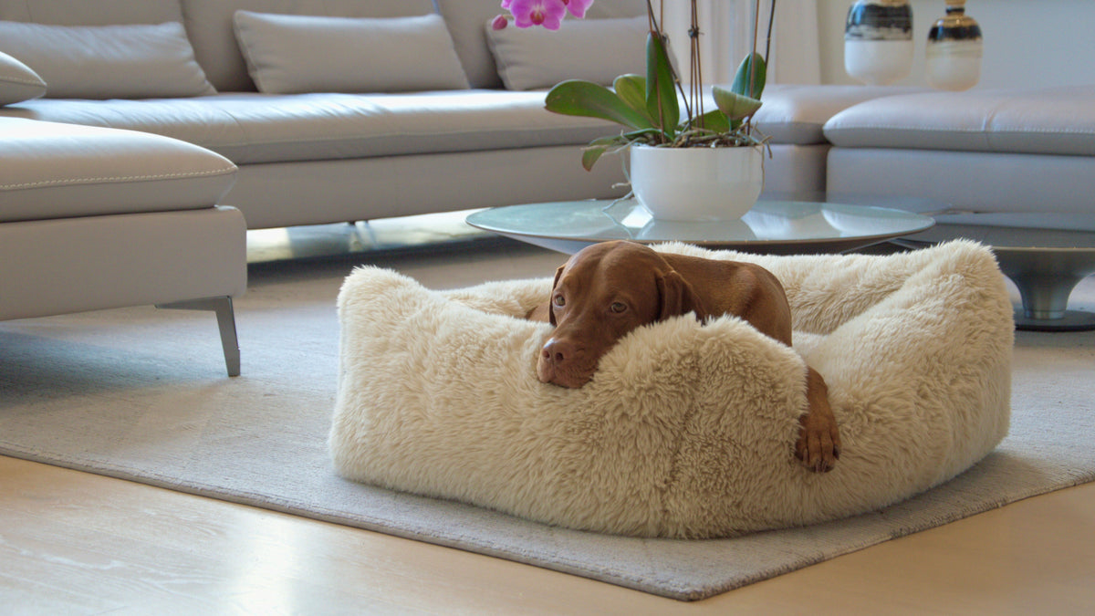 Bowsers The Franklin Faux Fur Orthopedic Dog Bed - Supportive Joint-Relief Comfort