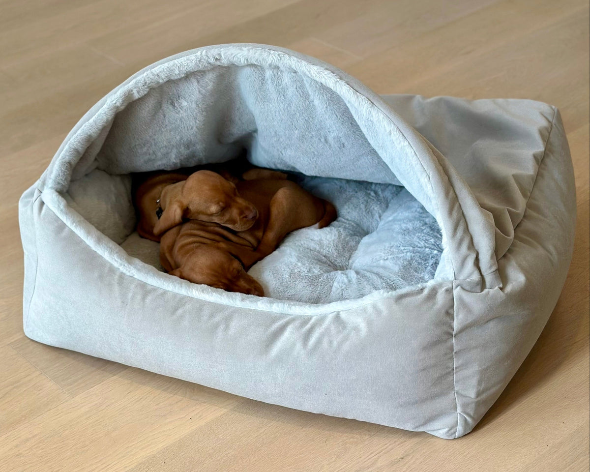 Bowsers Canopy Orthopedic Dog Bed - Supportive Joint-Relief Comfort