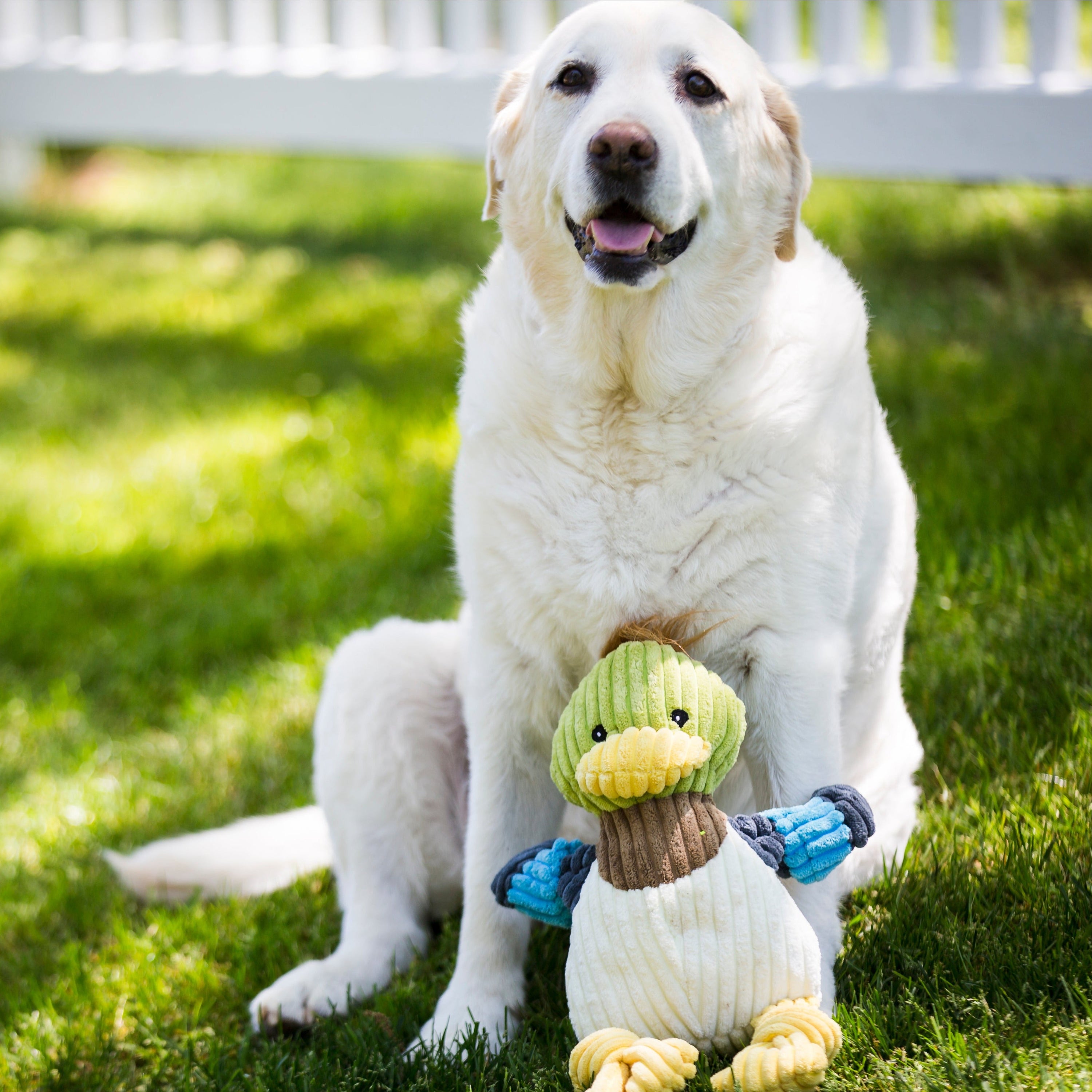 Dilly Duck Knottie Plush Dog Toy
