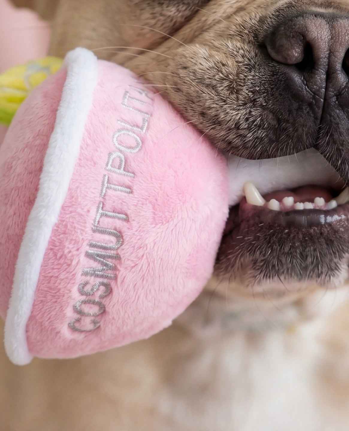 Haute Diggity Dog Cosmuttpolitan Plush Dog Toy