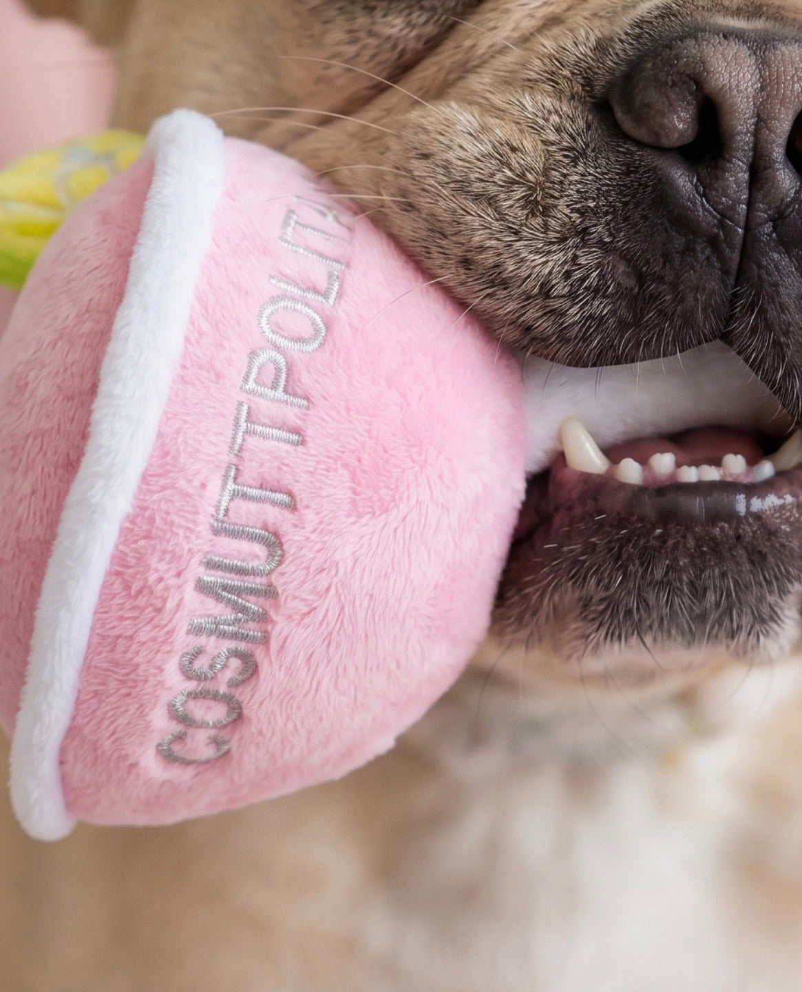 Haute Diggity Dog Cosmuttpolitan Plush Dog Toy
