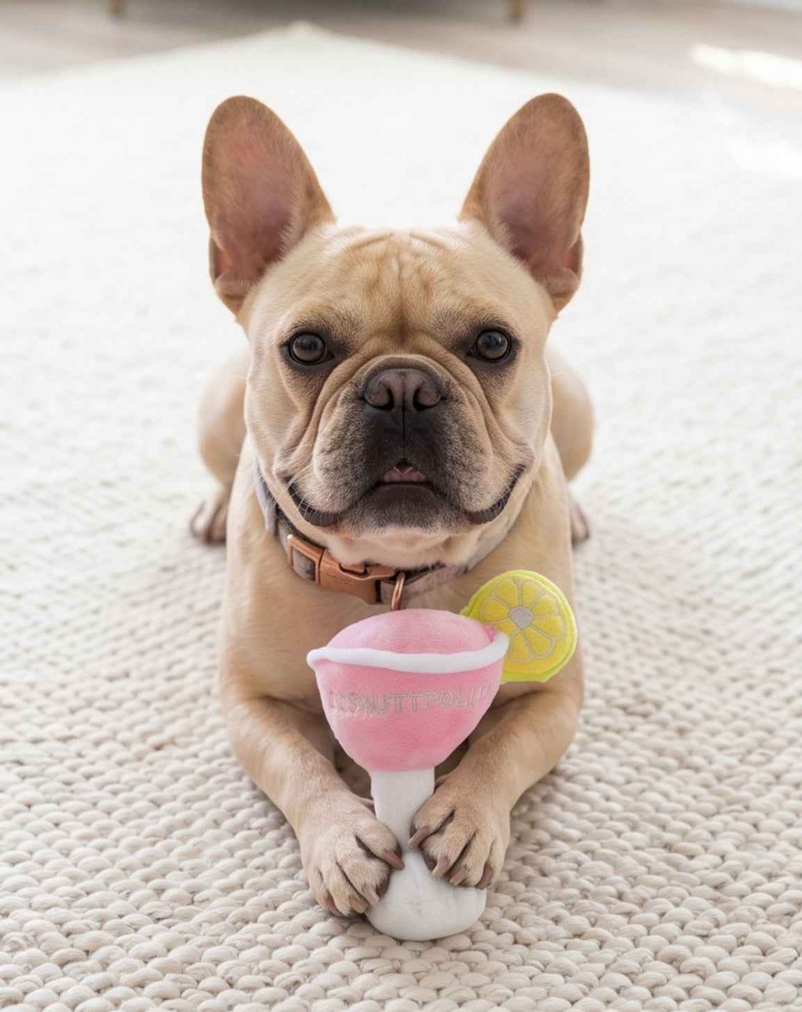 Haute Diggity Dog Cosmuttpolitan Plush Dog Toy