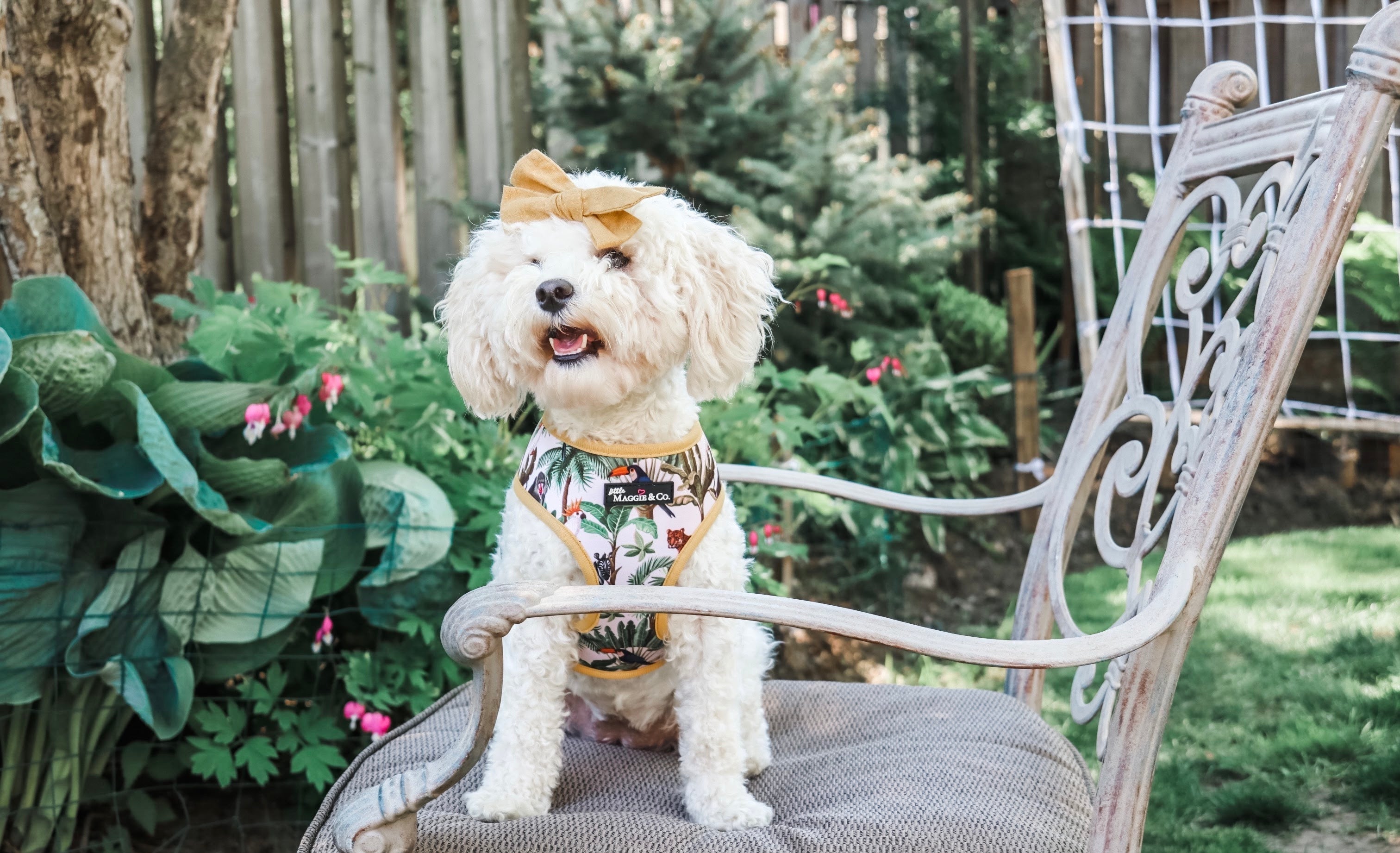 Into the Wild Reversible Harness