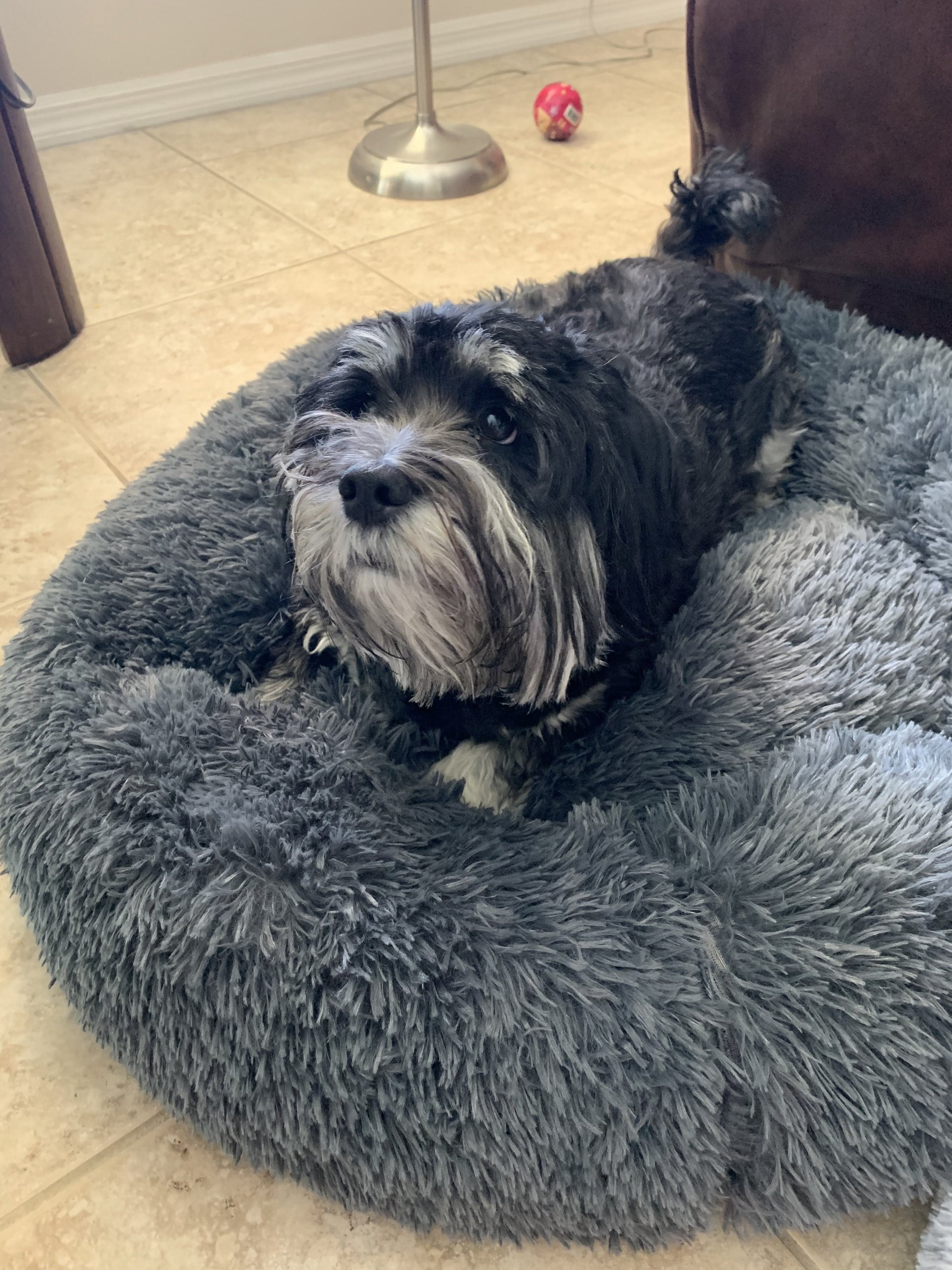 Mr. Peanuts 28" OrthoPlush® Pet Bed - Snowflake White Two Tone