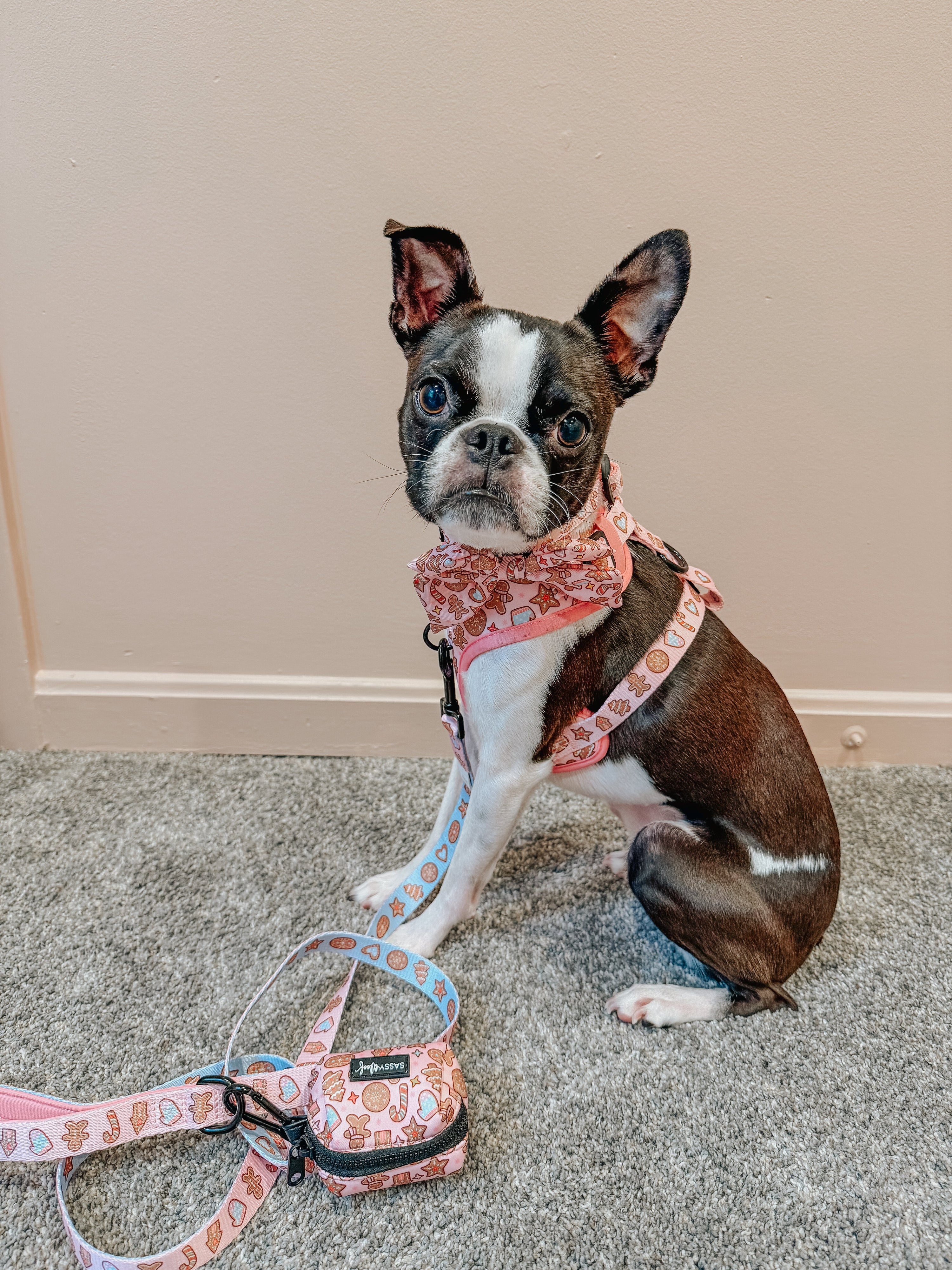 Dog Adjustable Harness - Dough My Goodness