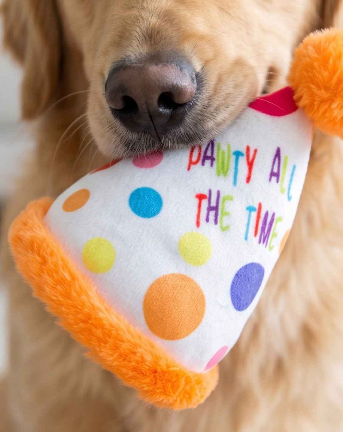 Haute Diggity Dog Happy Birthday Pawty Hat Plush Dog Toy